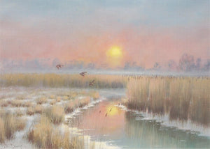 Winter Evening Sun - Sutton Fen