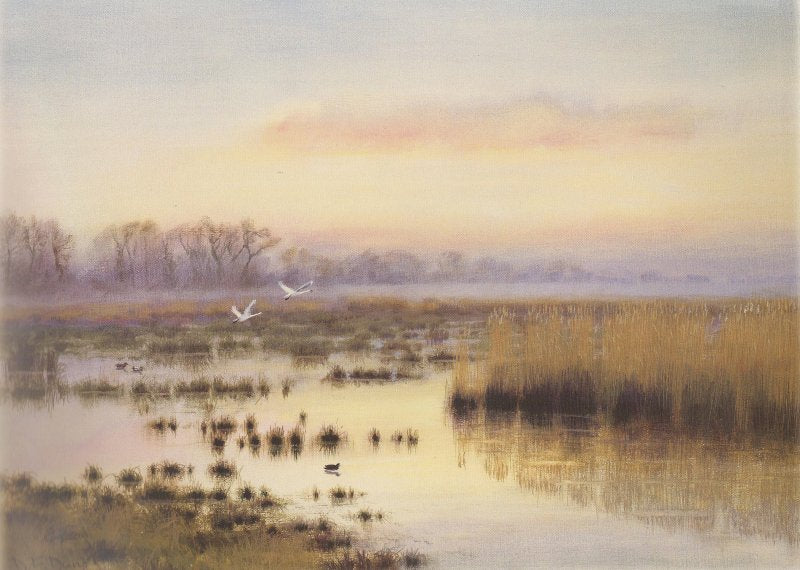 Dusk - Sutton Fen