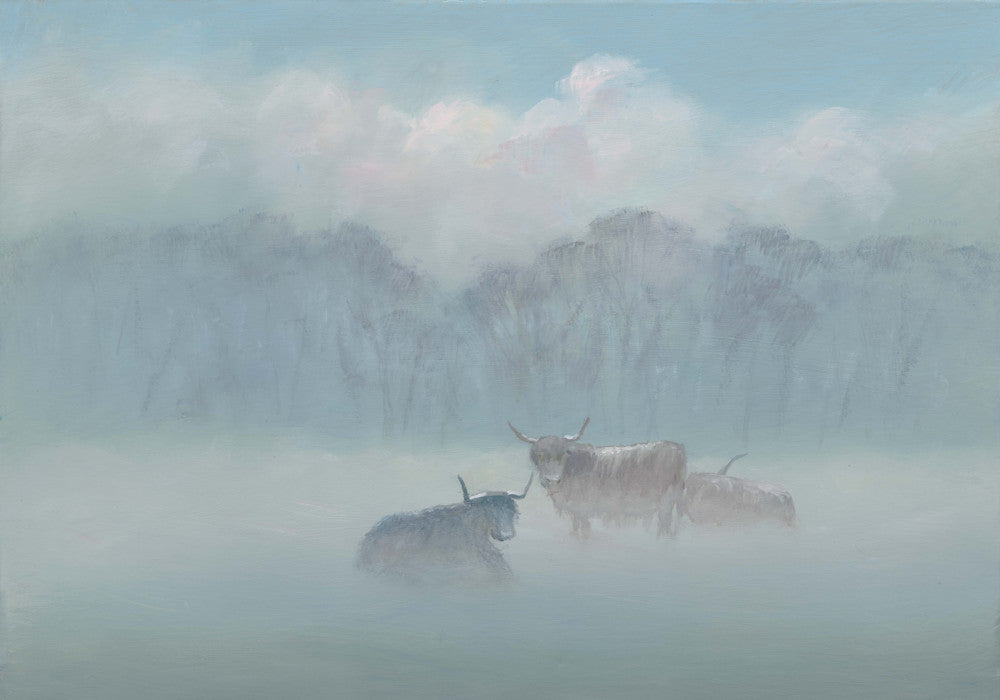 Highland Cattle in the Mist