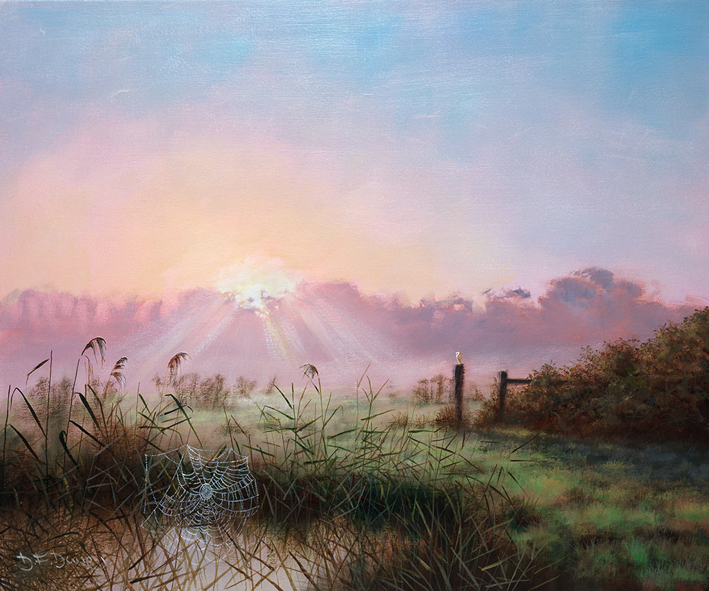 Sunrise Through the Mist - Longmoor