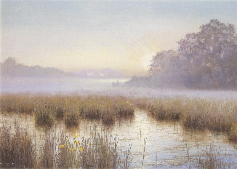 Towards the Light - Dawn Sutton Fen