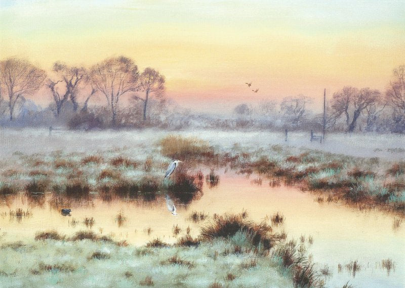 Winter Dawn - Sutton Fen