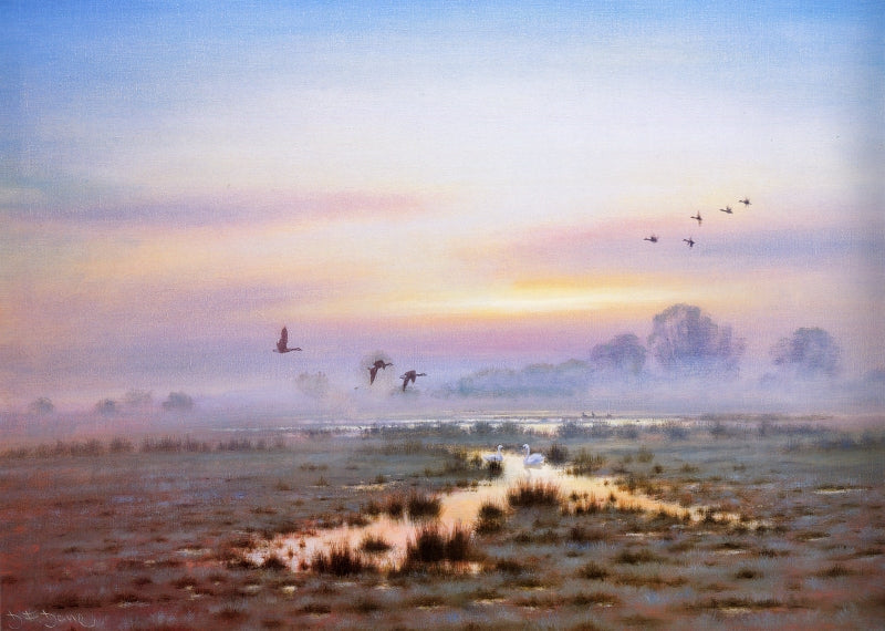 Autumn Sunrise Strumpshaw Grazing Marshes