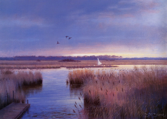 Winter Afternoon - Hickling