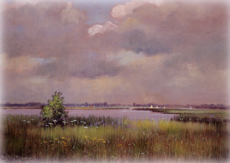Early Summer's Day - Hickling